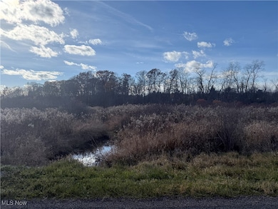 5089 Bayard Rd, Homeworth, OH 44634 - photo 2