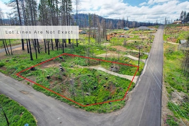 5136 Evergreen, Grizzly Flats, CA 95636 - photo 2