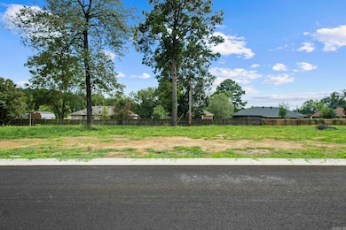 06 Christian Ln, Cabot, AR 72023 - photo 6