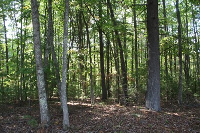 IMG_9219