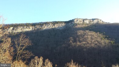 7195 N Fork Hwy, Cabins, WV 26855 - photo 5