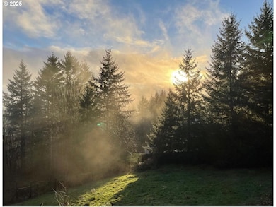 25313 NE 227th St, Battle Ground, WA 98604 - photo 3