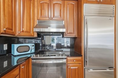 Grandview II at Port Imperial unit 310, West New York, NJ 07093 - photo 4