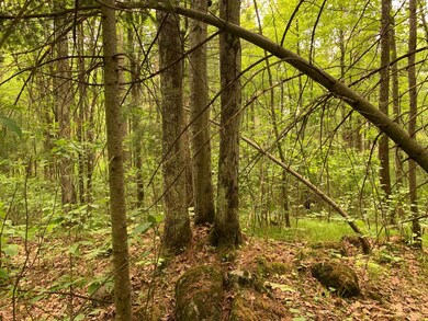 Lot 5 Somo Ridge Dr, Tomahawk, WI 54487 - photo 5