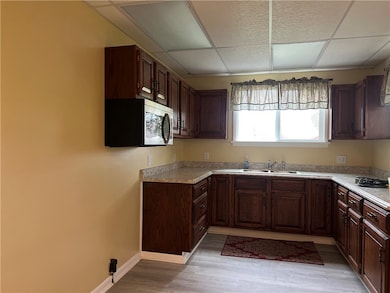 221 Leise Ln, Ellwood City, PA 16117 - photo 5