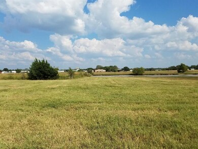 730 E Rock Island Ave, Boyd, TX 76023 - photo 3