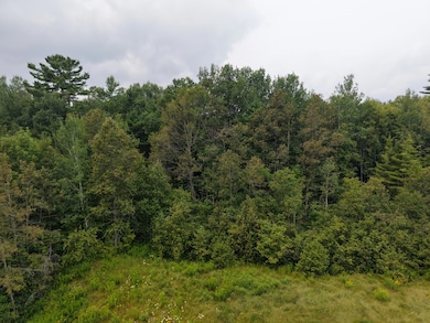 MPI8 L4-1 15 Industrial Park Rd, Greenville, ME 04441 - photo 4