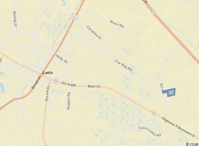 66 Hwy, Tr C E Fox Bay Rd, Loris, SC 29569 - photo 3