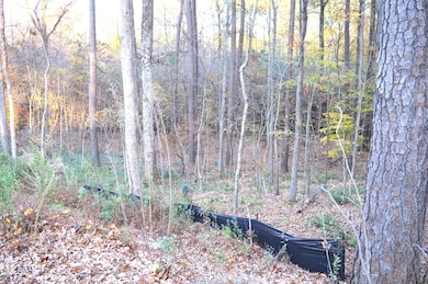 810 SW Maynard Rd, Cary, NC 27511 - photo 4