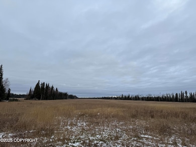 000 Tanana Loop Rd, Big Delta, AK 99737 - photo 3