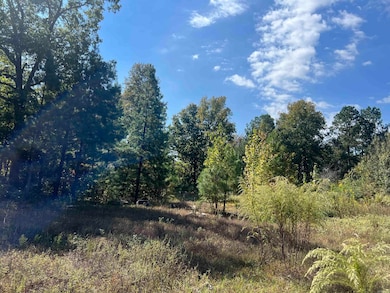 23709 Block Rd, Hensley, AR 72065 - photo 5