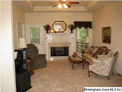 Gas Logs in Fireplace in Living room