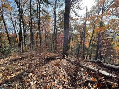 Lot 34R Sugar Mountain Way, Pigeon Forge, TN 37863 - photo 7