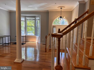 14102 Red Eagle Ln, Silver Spring, MD 20906 - photo 2