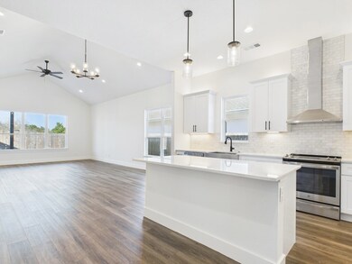 704 Cirrus Ln, Fredericksburg, TX 78624 - photo 4