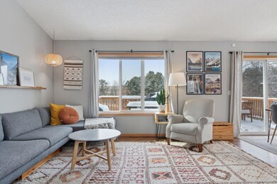 13590 Fiona Ave N, Hugo, MN 55038 - photo 4