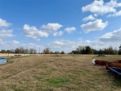 14 Acres County Road 3359, Saltillo, TX 75478 - photo 6