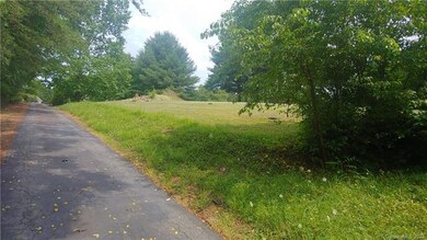 TBD Westview Dr, Leicester, NC 28748 - photo 5