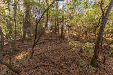 L22,23 Hideaway Trail, Highlands, NC 28741 - photo 3