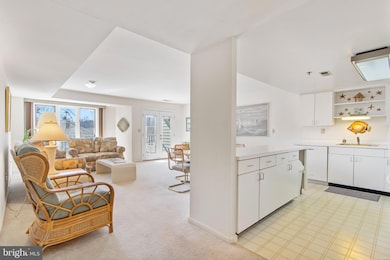 50 Wilmington Ave unit 103, Rehoboth Beach, DE 19971 - photo 5