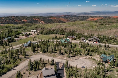 DJI_0596