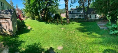 E Backyard (Copy)