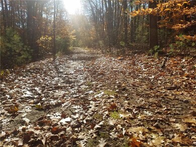 Path to water