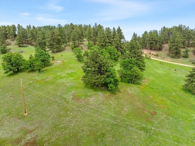 56 Kimball Rd, Aladdin, WY 82710 - photo 5