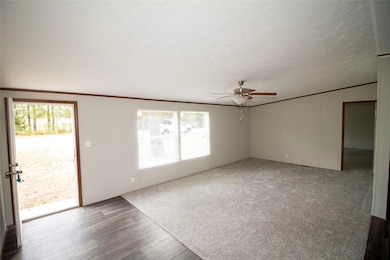 1454 Hwy 9 Hwy, Goldonna, LA 71070 - photo 3