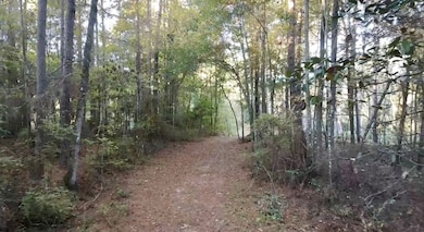 00 Collins Rd, Cairo, GA 39828 - photo 2