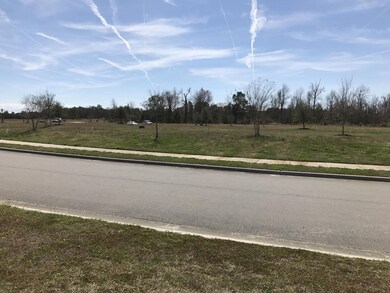 431 Summer House Dr, Holly Ridge, NC 28445 - photo 5