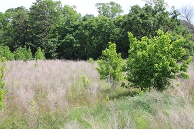 0 Cr 820 unit 62479, Nacogdoches, TX 75969 - photo 4