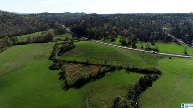 0 Highway 174 unit Tract 8 21415020, Springville, AL 35146 - photo 7