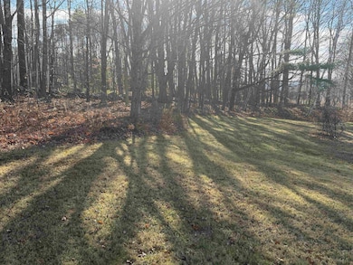 00 Pease Rd unit 3A, Meredith, NH 03253 - photo 3