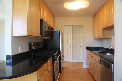 1 St George unit 3B, Boston, MA 02118 - photo 5