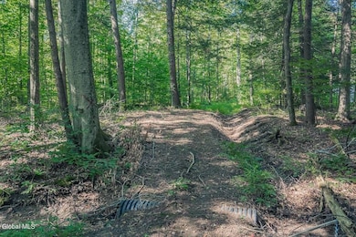 L.39.2 Rt 9, Ganesvoort, NY 12831 - photo 5