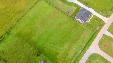 9602 Crescent Cross Dr, Needville, TX 77461 - photo 4