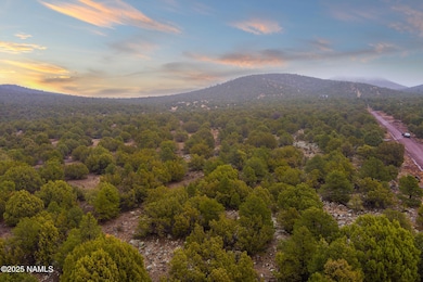 2409 E New Moon Way, Red Lake, AZ 86046 - photo 3