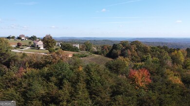 0 Baldwin Heights Rd unit 10650492, Baldwin, GA 30511 - photo 4