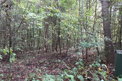 L54 Bowman Rd, Statesville, NC 28625 - photo 5