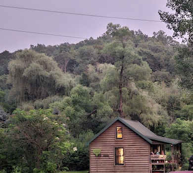 Cabin photo1