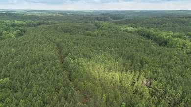 115 Baudy James Rd, Cedar Grove, TN 38321 - photo 6