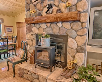 Gas Fireplace and Electric Heater