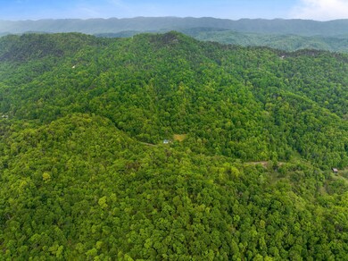 Tract 1 Sandy Valley Rd, Rogersville, TN 37857 - photo 4