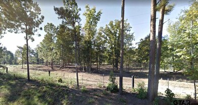 20356 Fm 850, Arp, TX 75750 - photo 3