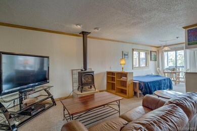 2710 Ryan Gulch Rd unit 2714, Silverthorne, CO 80498 - photo 3