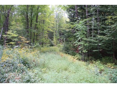 3 Loon Lake Rd, Plymouth, NH 03264 - photo 6