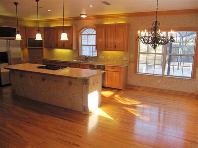 Above & under cabinet lighting.