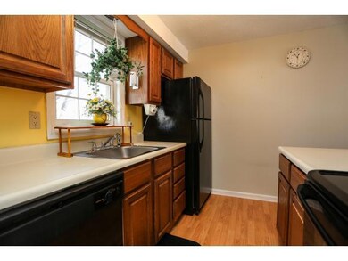 Newer Appliances!
