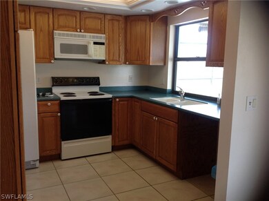 1103 SW 47th Terrace, Cape Coral, FL 33914 - photo 6